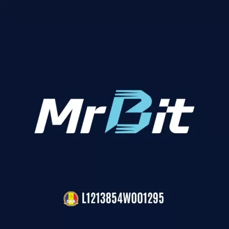 Mr Bit
