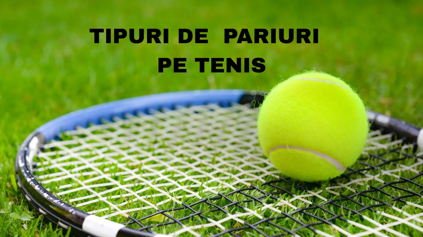 Tipuri de pariuri pe tenis. Vezi care sunt cele mai profitabile